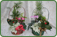 Yuletide Basket Medium