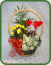 Yuletide Basket Small